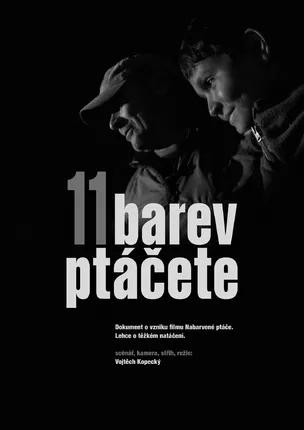 11 BAREV PTÁČETE