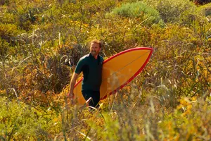 THE SURFER