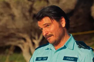 THE SURFER