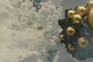 PŘÍBĚHY KOUZELNÉHO STROMU