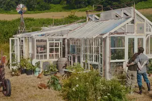 PŘÍBĚHY KOUZELNÉHO STROMU